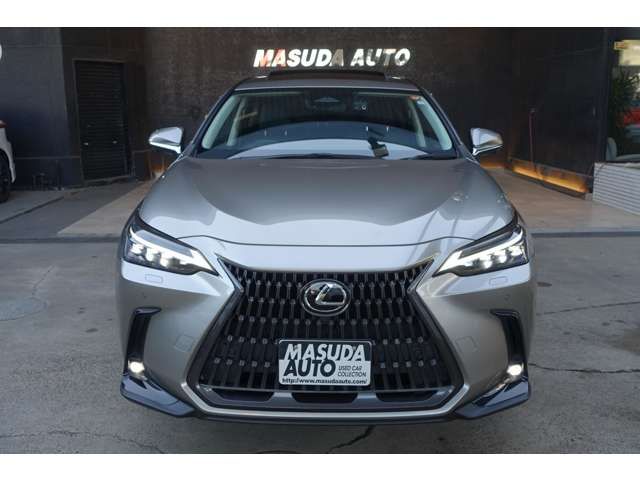 TOYOTA LEXUS NX350H 2023 Image 31