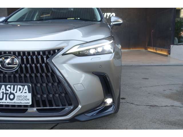 TOYOTA LEXUS NX350H 2023 Image 31