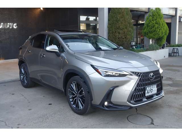 TOYOTA LEXUS NX350H 2023 Image 31
