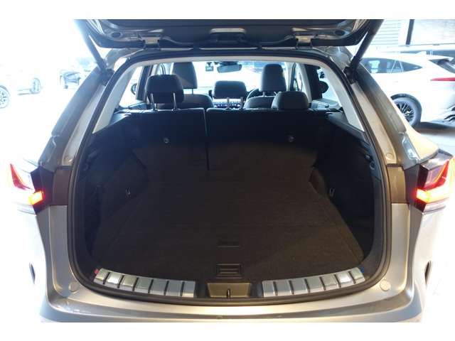 TOYOTA LEXUS NX350H 2023 Image 31