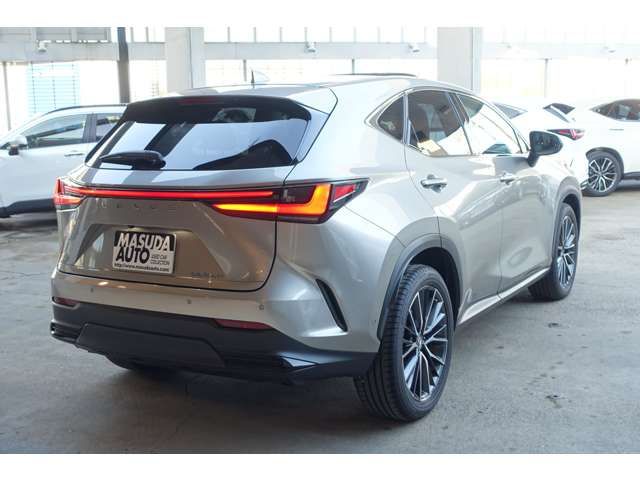 TOYOTA LEXUS NX350H 2023 Image 31