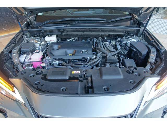 TOYOTA LEXUS NX350H 2023 Image 31