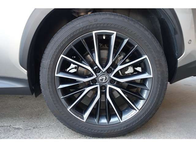 TOYOTA LEXUS NX350H 2023 Image 31