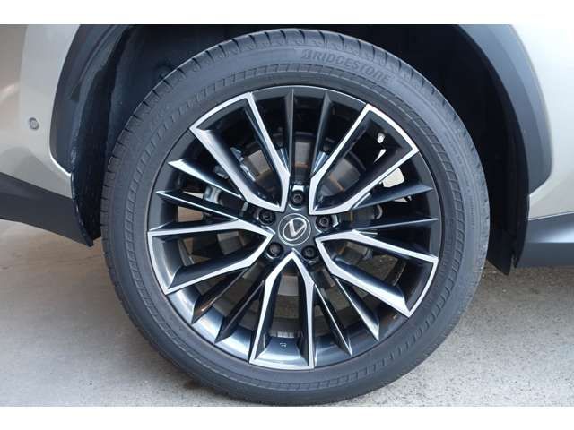 TOYOTA LEXUS NX350H 2023 Image 31