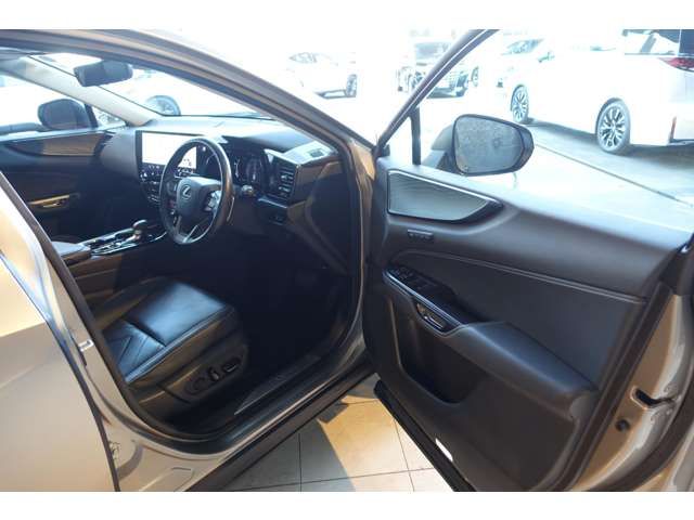 TOYOTA LEXUS NX350H 2023 Image 31