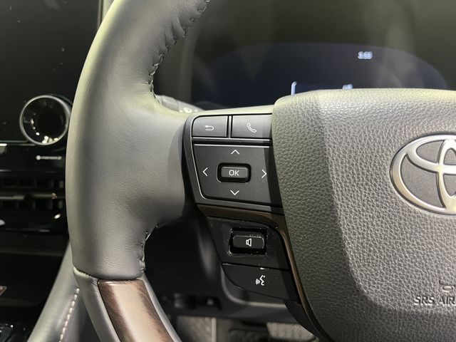 TOYOTA ALPHARD 4WD 2024 Image 31