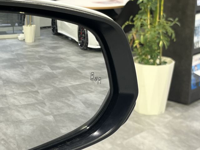 TOYOTA ALPHARD 4WD 2024 Image 31