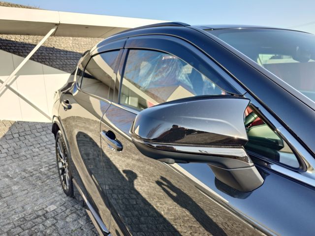 TOYOTA LEXUS RX500H 2023 Image 31