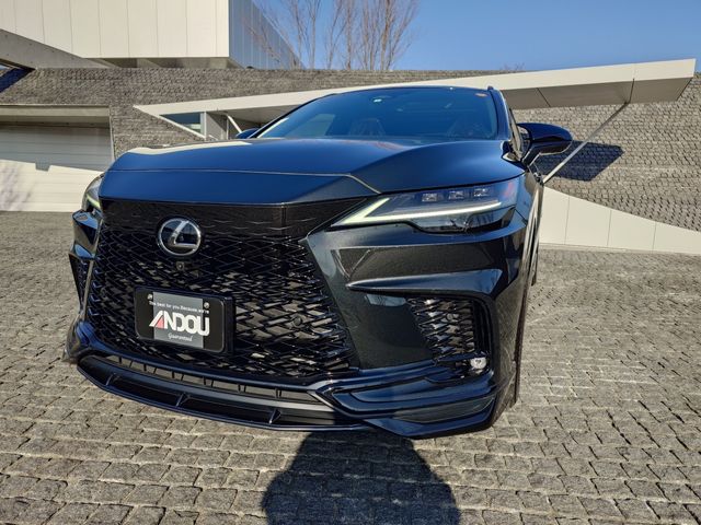 TOYOTA LEXUS RX500H 2023 Image 31