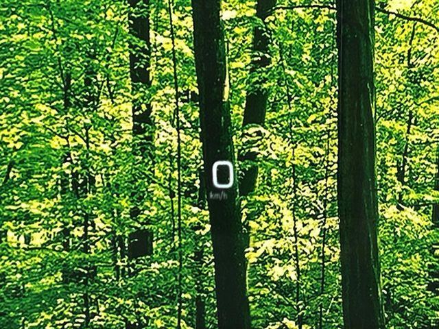 TOYOTA PRIUS 2019 Image 31