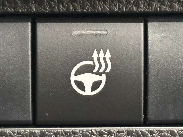 TOYOTA RAV4 HYBRID 4WD 2019 Image 31