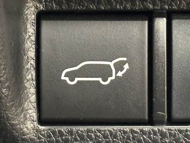 TOYOTA RAV4 HYBRID 4WD 2019 Image 31