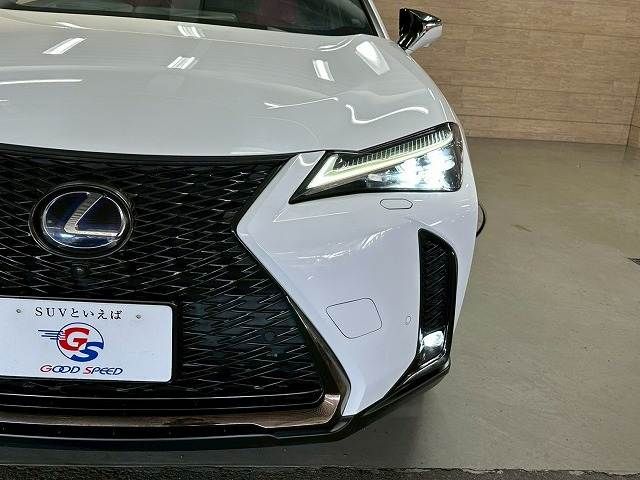TOYOTA LEXUS UX250H 2019 Image 31