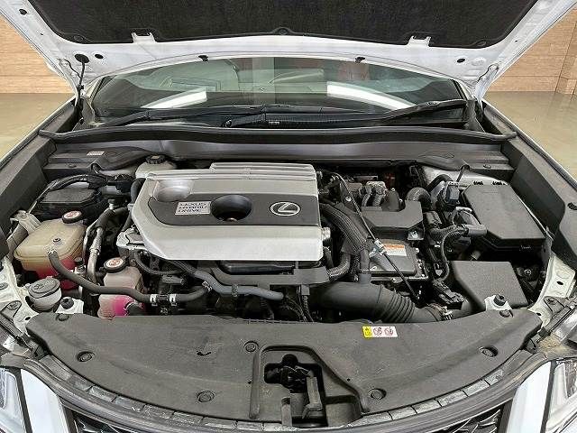 TOYOTA LEXUS UX250H 2019 Image 31