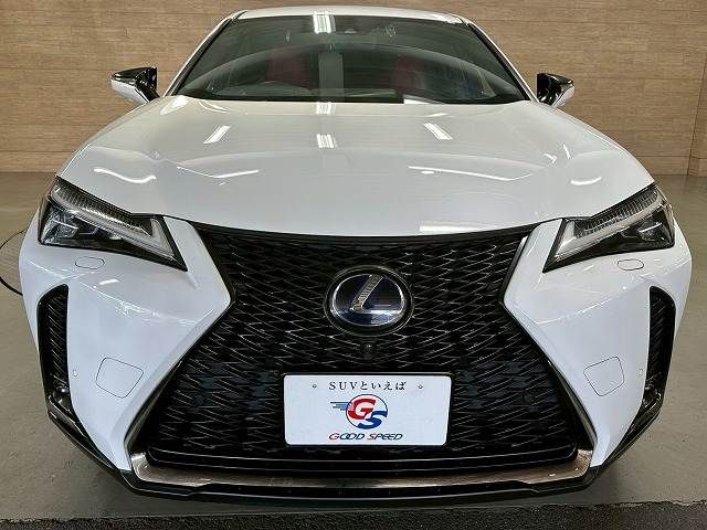 TOYOTA LEXUS UX250H 2019 Image 31