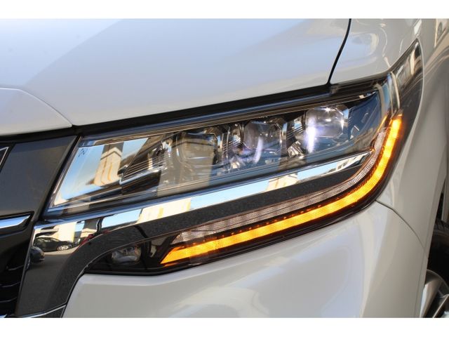 TOYOTA ALPHARD 2019 Image 31