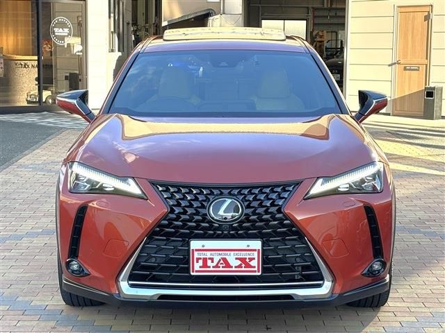 TOYOTA LEXUS UX250H 2023 Image 31