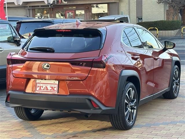 TOYOTA LEXUS UX250H 2023 Image 31