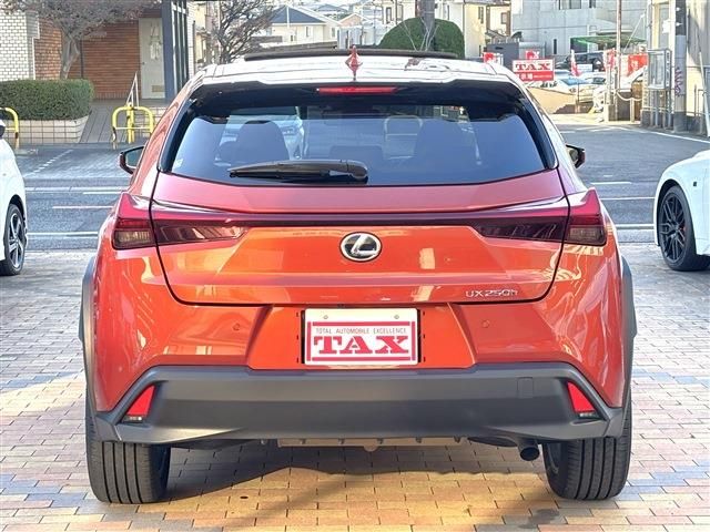 TOYOTA LEXUS UX250H 2023 Image 31