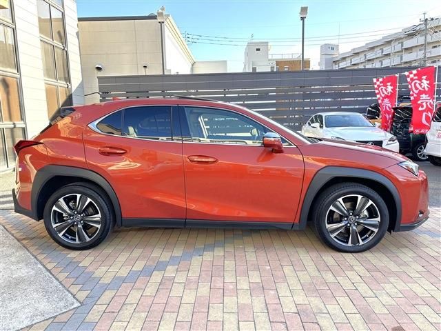 TOYOTA LEXUS UX250H 2023 Image 31