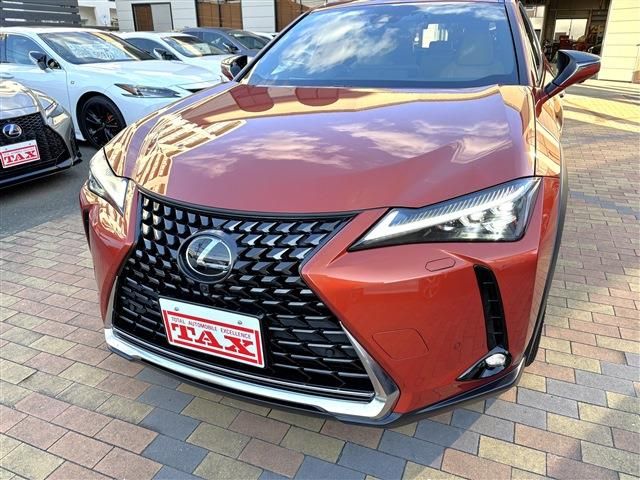 TOYOTA LEXUS UX250H 2023 Image 31