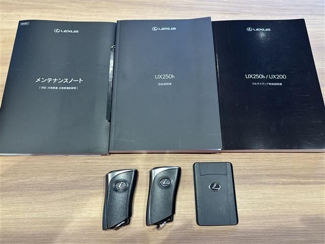 TOYOTA LEXUS UX250H 2023 Image 31