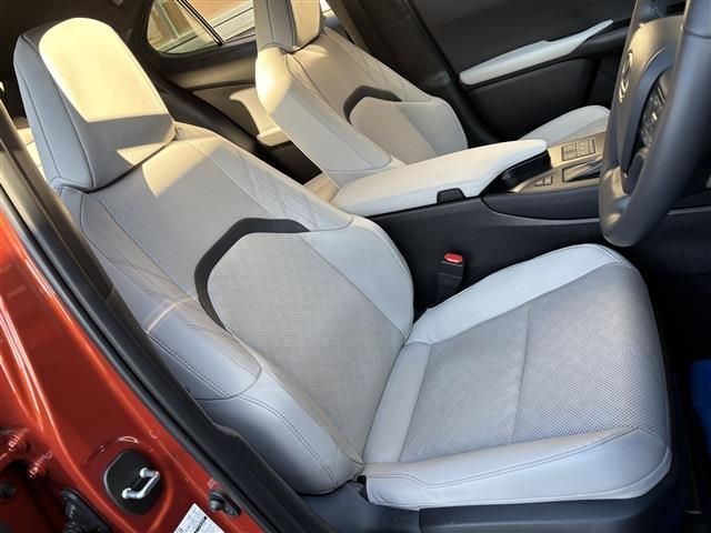 TOYOTA LEXUS UX250H 2023 Image 31