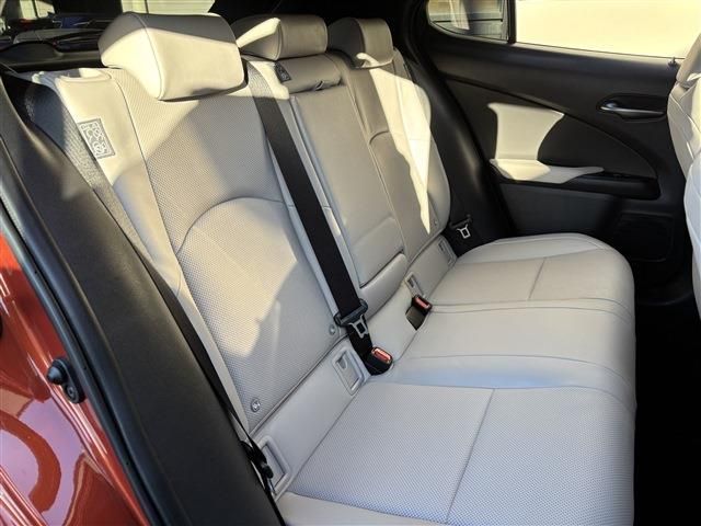 TOYOTA LEXUS UX250H 2023 Image 31