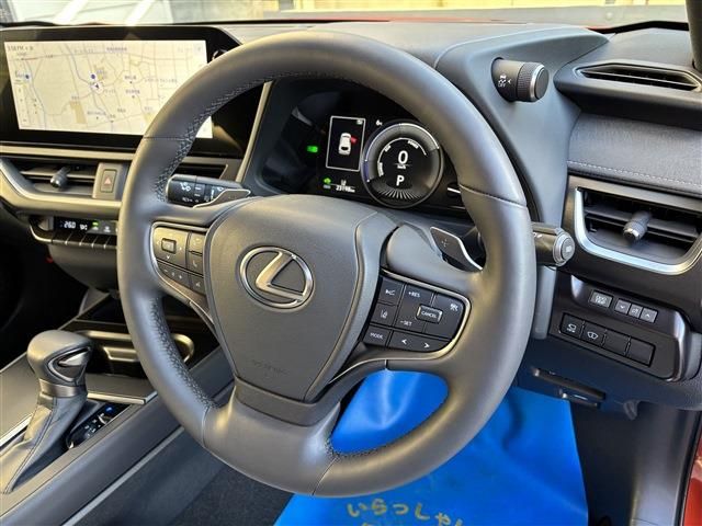 TOYOTA LEXUS UX250H 2023 Image 31