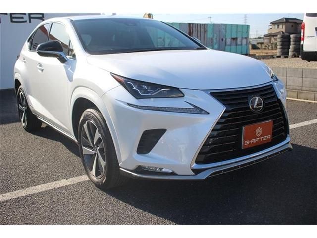 TOYOTA LEXUS NX300H 2021 Image 31