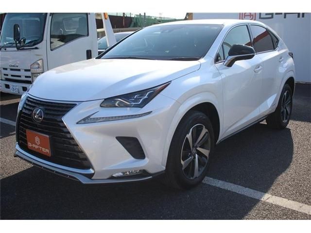 TOYOTA LEXUS NX300H 2021 Image 31