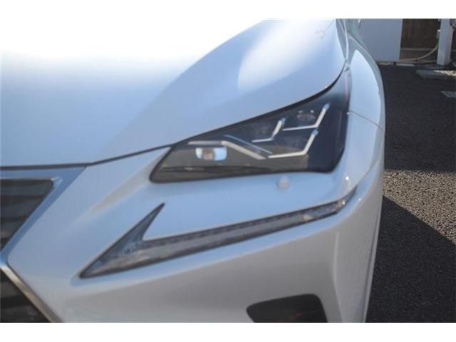 TOYOTA LEXUS NX300H 2021 Image 31