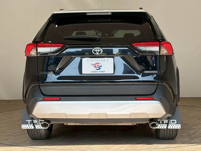 TOYOTA RAV4 4WD 2019 Image 31