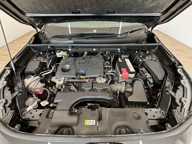 TOYOTA RAV4 4WD 2019 Image 31