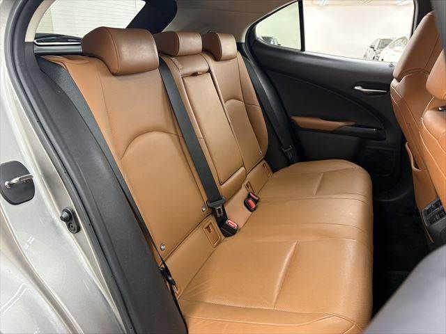 TOYOTA LEXUS UX250H 2018 Image 31