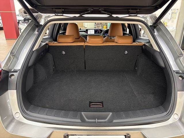 TOYOTA LEXUS UX250H 2018 Image 31