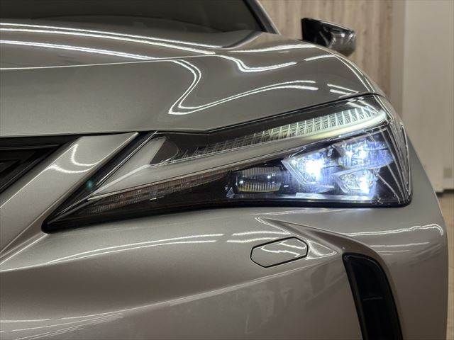 TOYOTA LEXUS UX250H 2018 Image 31