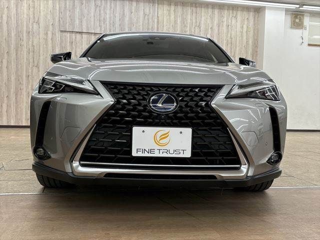 TOYOTA LEXUS UX250H 2018 Image 31