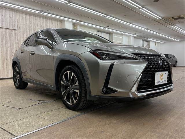 TOYOTA LEXUS UX250H 2018 Image 31