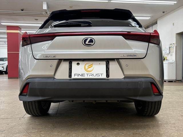 TOYOTA LEXUS UX250H 2018 Image 31