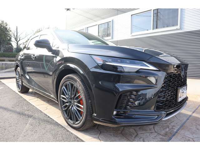 TOYOTA LEXUS RX500H 2023 Image 31