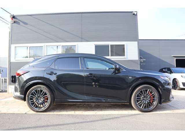 TOYOTA LEXUS RX500H 2023 Image 31