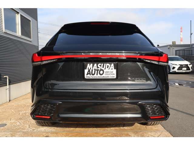 TOYOTA LEXUS RX500H 2023 Image 31