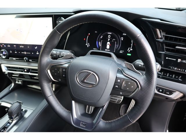 TOYOTA LEXUS RX500H 2023 Image 31