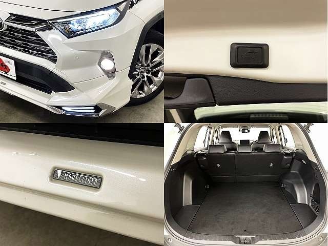 TOYOTA RAV4 4WD 2019 Image 31