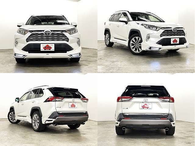 TOYOTA RAV4 4WD 2019 Image 31