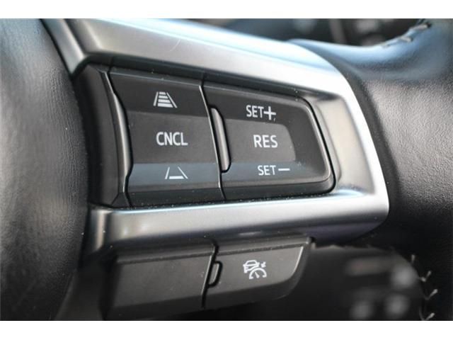 MAZDA ROADSTER 2024 Image 31