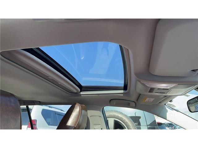 MITSUOKA BUDDY 2023 Image 31