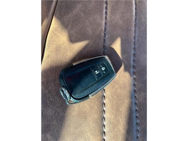 MITSUOKA BUDDY 2023 Image 31