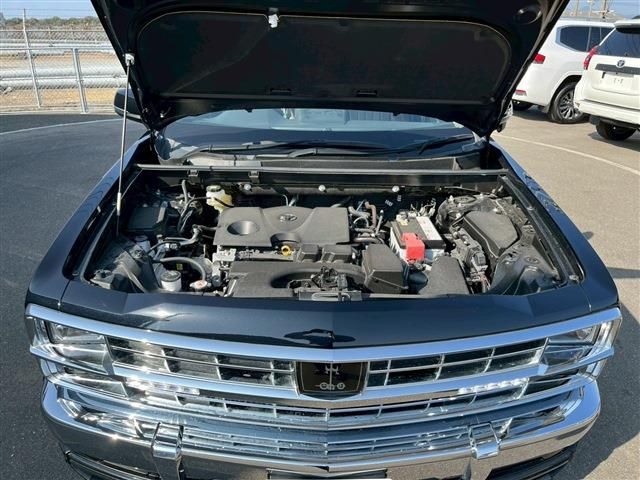 MITSUOKA BUDDY 2023 Image 31